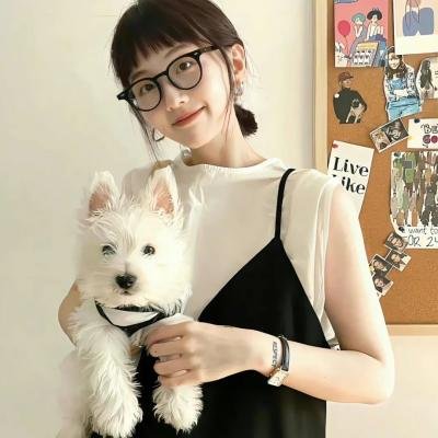 锁麟囊 在线观看封面